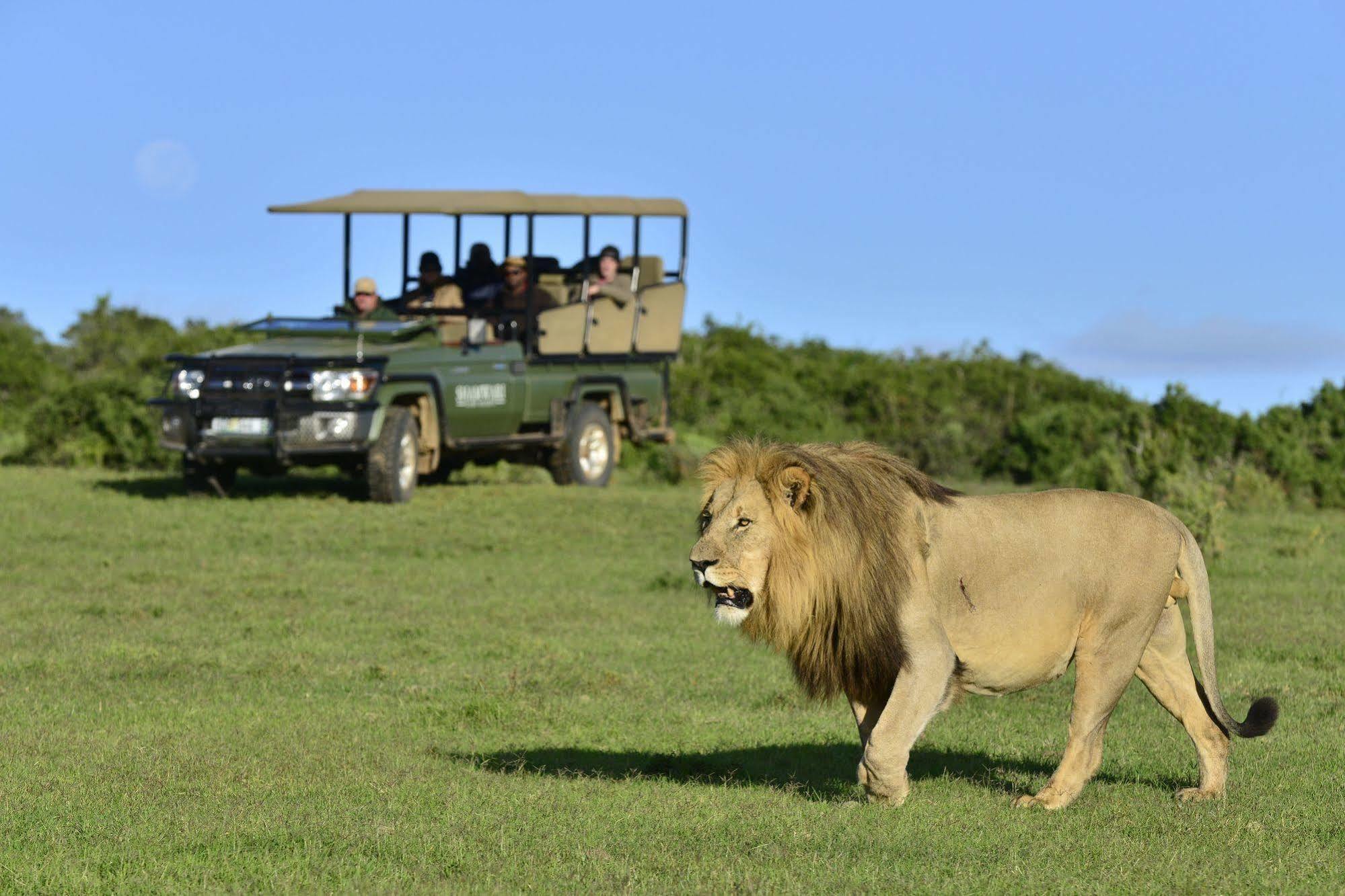 Shamwari Game Reserve Port Elizabeth Zewnętrze zdjęcie